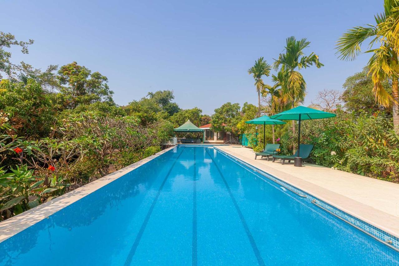 Stayvista'S Casa Palmera - Pet-Friendly Villa With Pool, Garden With Gazebo, And Indoor & Outdoor Games Alībāg Exterior photo
